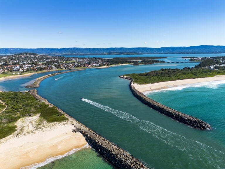 Lake Illawarra Properties